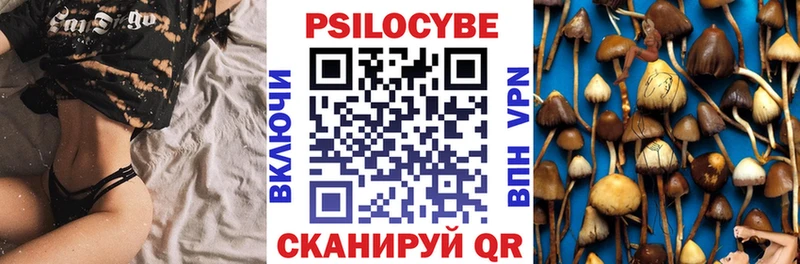 Галлюциногенные грибы GOLDEN TEACHER  купить наркотики сайты  Чердынь 